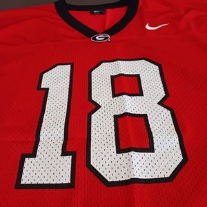 Georgia  College Football Jersey
